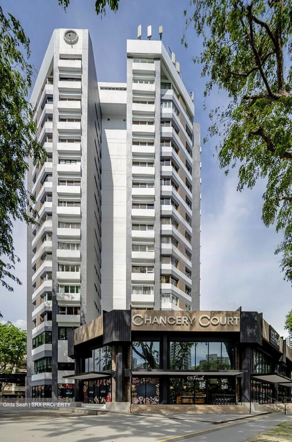 Dunearn Road (D11), Condominium #482575651
